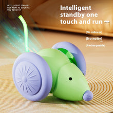 Automatic Electric Mouse Cat Toy detail view for dogs and cats by Pawszozo