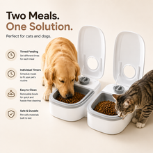 Smart Automatic Pet Food Dispenser with Portion Control