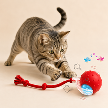 Super Drive Interactive Rolling Ball Cat Toy
