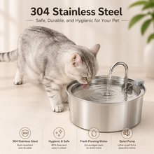 Stainless Steel Automatic Pet Water Fountain