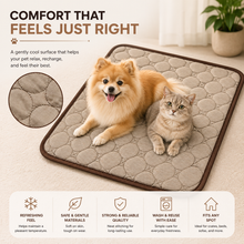 Summer Cooling Mat for Dogs & Cats