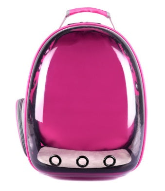 Bubble Backpack Pet Carrier for Cats & Small Dogs