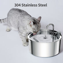 Stainless Steel Automatic Pet Water Fountain from Pawszozo for cat and dog owners