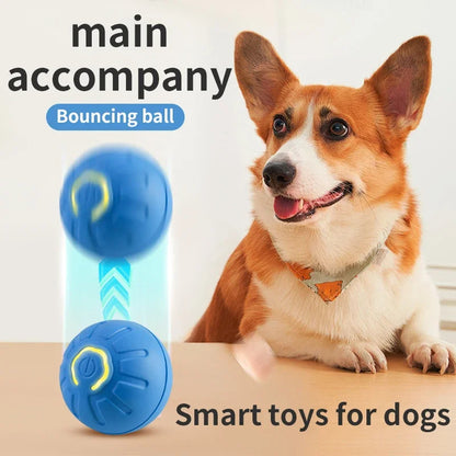 Balle Jouet Connectée pour Chien, Jouet Électronique Interactif pour Animal de Compagnie, Balle Mouvante USB Automatique Rebottissante pour Chiot, Cadeau d'Anniversaire, Produit pour Chat
