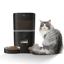 Smart Automatic Pet Feeder detail view for dogs and cats by Pawszozo