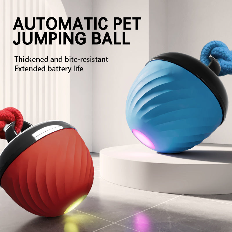 Smart Interactive Dog Ball Toy