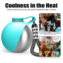 Portable Stainless Steel Dog Water Bottle from Pawszozo for dog owners