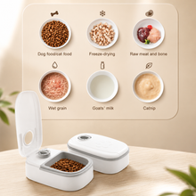 Smart Automatic Pet Food Dispenser with Portion Control