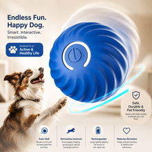 Smart Rechargeable Automatic Bouncing Ball for Dogs