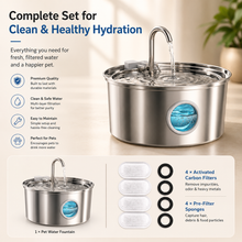Stainless Steel Automatic Pet Water Fountain