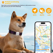 Pet GPS Locator & Activity Monitor lifestyle use for dogs and cats by Pawszozo