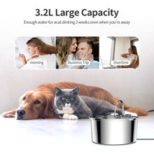 Stainless Steel Automatic Pet Water Fountain from Pawszozo for cat and dog owners