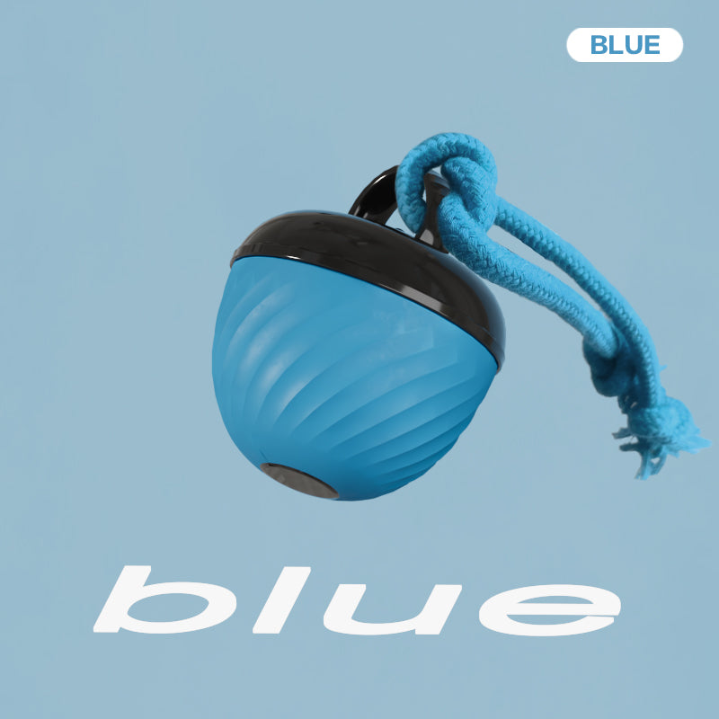 Smart Interactive Dog Ball Toy