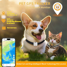 Pet GPS Locator & Activity Monitor product view for dogs and cats by Pawszozo