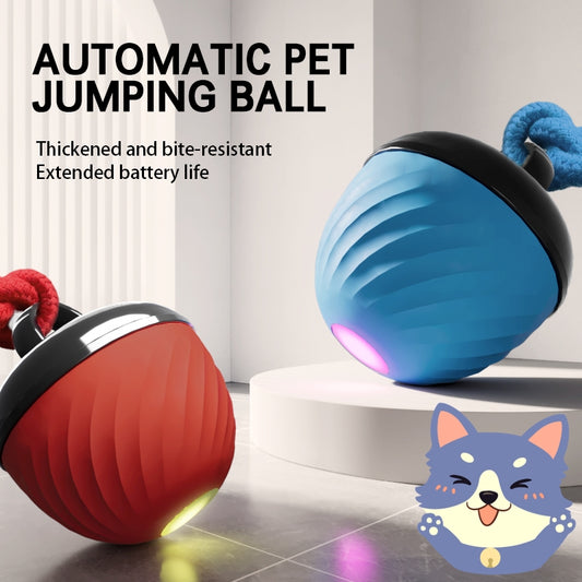 Smart Interactive Dog Ball Toy