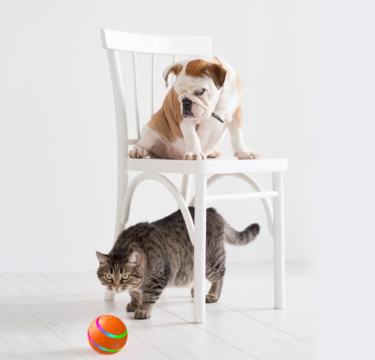 Interactive Rolling Ball Toy for Cats USB Rechargeable