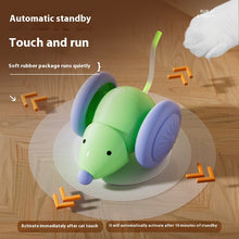 Automatic Electric Mouse Cat Toy variant view for dogs and cats by Pawszozo