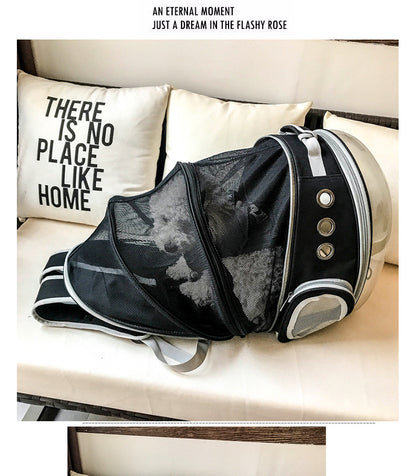 Bubble Backpack Pet Carrier for Cats & Small Dogs