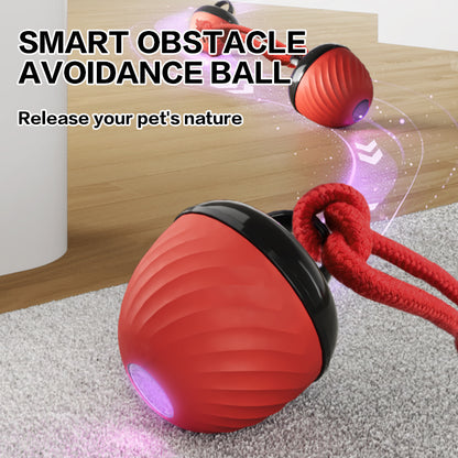 Smart Interactive Dog Ball Toy