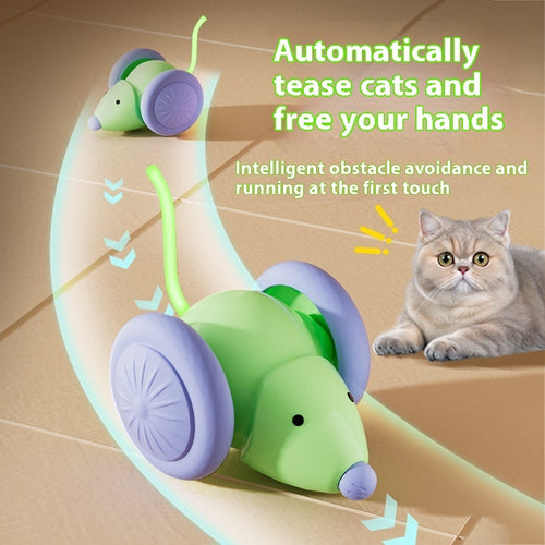 Automatic Electric Mouse Cat Toy detail view for dogs and cats by Pawszozo