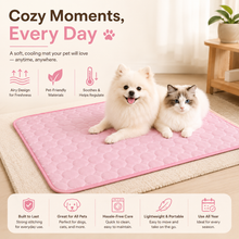 Summer Cooling Mat for Dogs & Cats