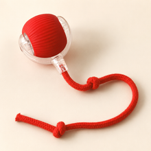 Super Drive Interactive Rolling Ball Cat Toy
