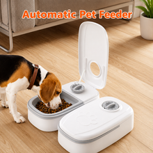 Smart Automatic Pet Food Dispenser with Portion Control