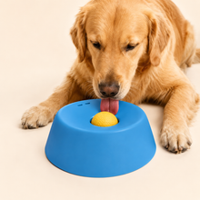 Non-Slip Bone Broth Licking Bowl for Dogs