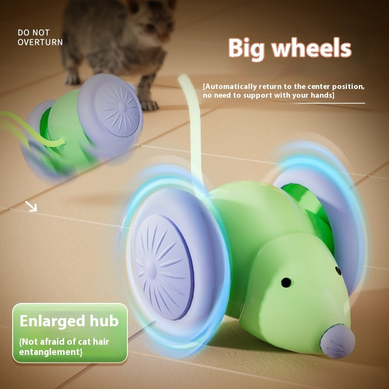 Automatic Electric Mouse Cat Toy lifestyle use for dogs and cats by Pawszozo