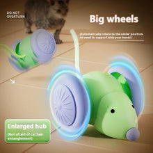 Automatic Electric Mouse Cat Toy lifestyle use for dogs and cats by Pawszozo