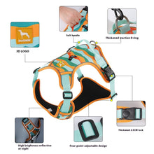 Reflective Dog Harness and Lead Set from Pawszozo for dog owners