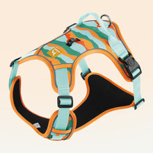 Reflective Dog Harness and Lead Set from Pawszozo for dog owners