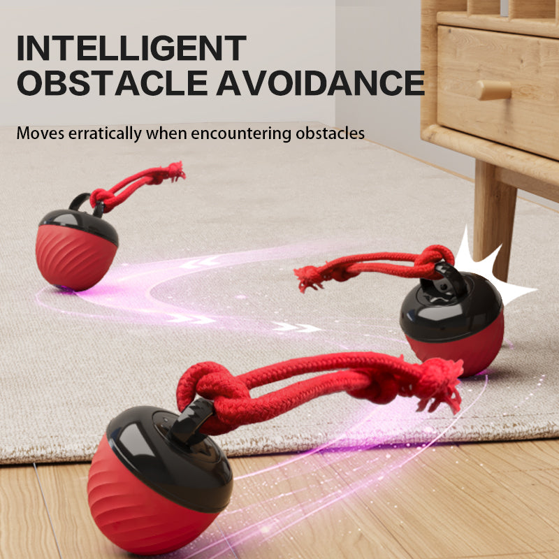 Smart Interactive Dog Ball Toy