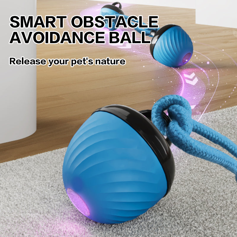 Smart Interactive Dog Ball Toy