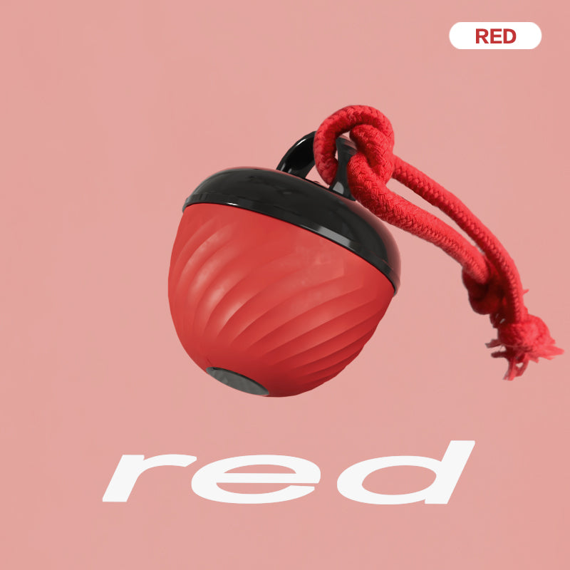 Smart Interactive Dog Ball Toy