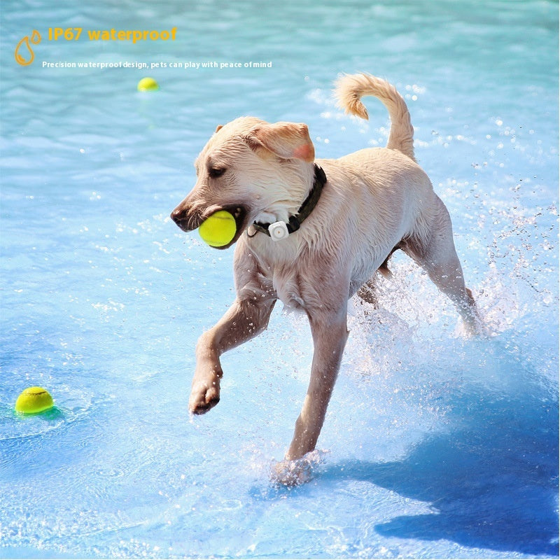 Pet GPS Locator & Activity Monitor variant view for dogs and cats by Pawszozo