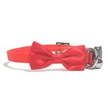 Adjustable Bow Cat Collar with Bell lifestyle use for dogs and cats by Pawszozo