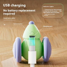 Automatic Electric Mouse Cat Toy close-up for dogs and cats by Pawszozo