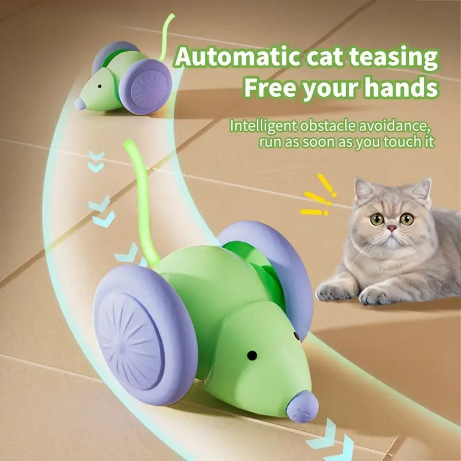 Automatic Electric Mouse Cat Toy product view for dogs and cats by Pawszozo