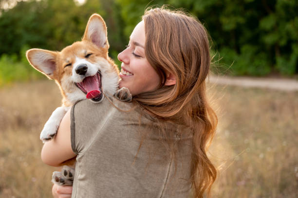 Puppy with Pawszozo product